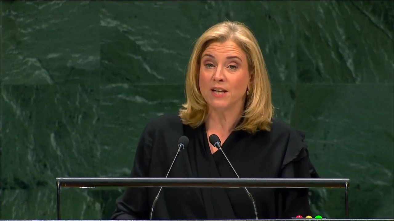 Cover image for Austria Draws Line on Autonomous Weapons, Outlines Security Council Agenda