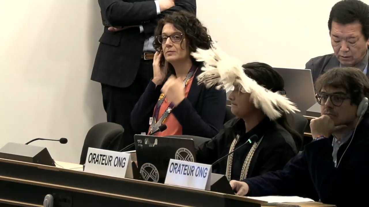 Cover image for Council Advances Indigenous Conflict Protections as Speakers Sound Alarm on Reprisals