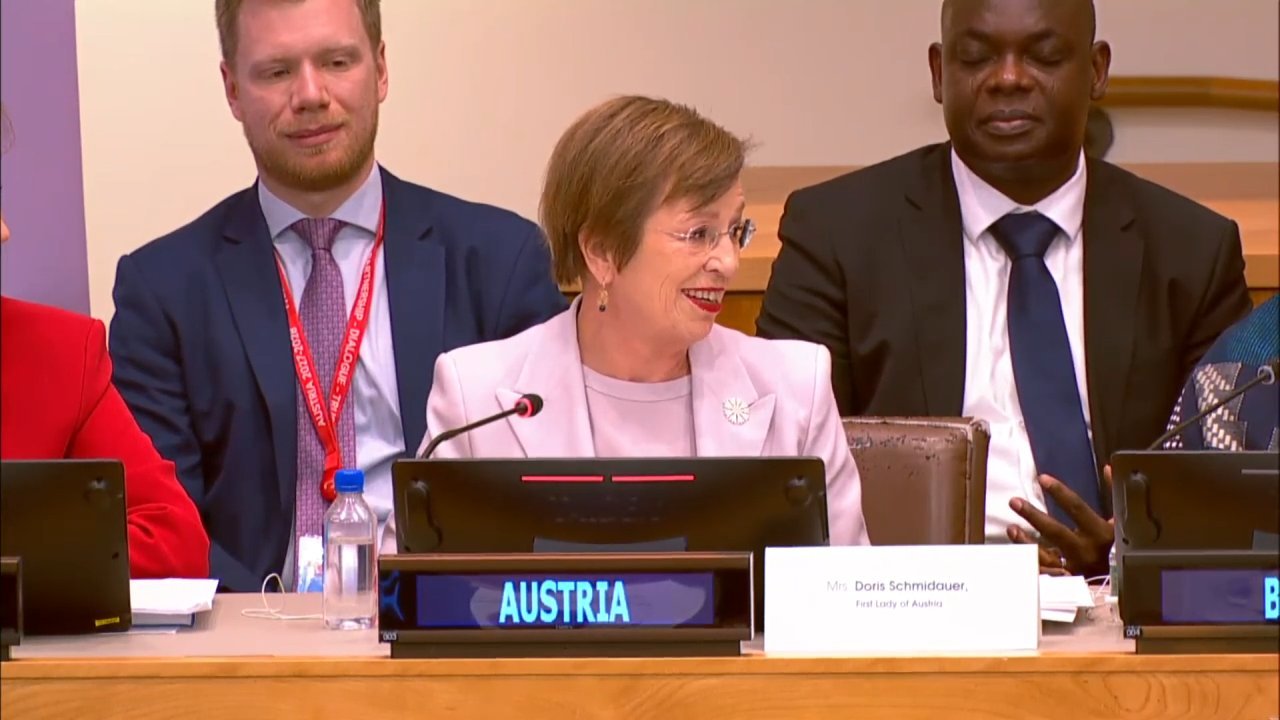 Cover image for First Ladies Build a Global Dictionary of Resilience at United Nations Summit